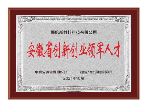 安徽省创新创业领军人才